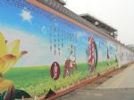 青島專業慶典禮儀策劃服務公司 一站式專業服務，點亮城市精彩